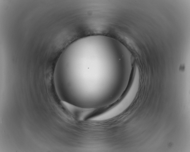 X0000091970509200709061335