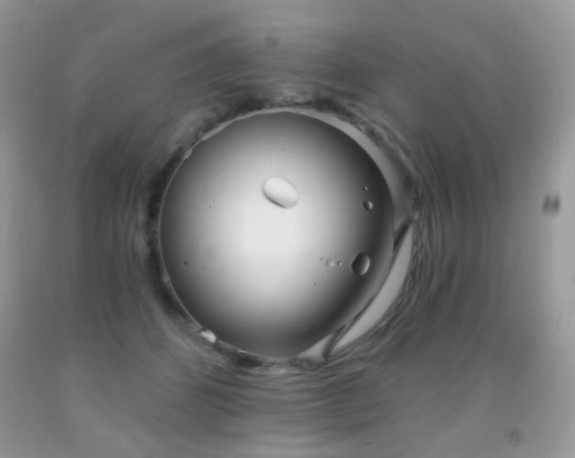 X0000091970512200709061335
