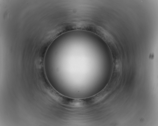 X0000091970514200709061334