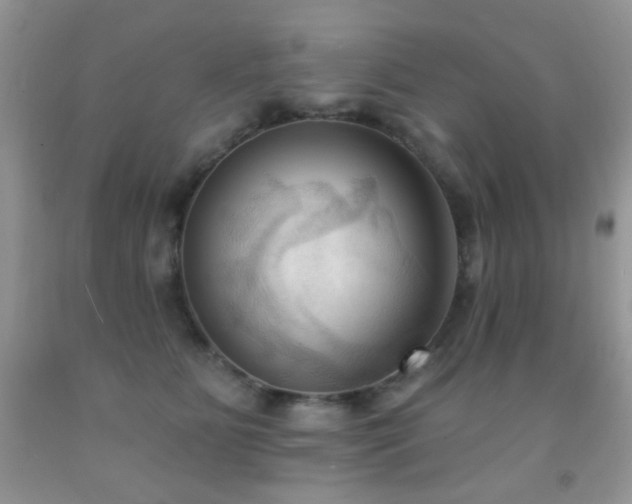 X0000091970515200709061334