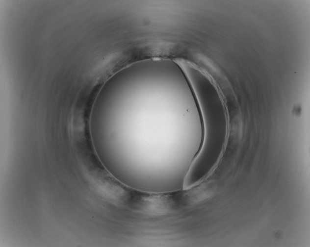 X0000091970516200709061334