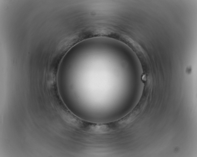 X0000091970517200709061334