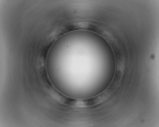 X0000091970518200709061334