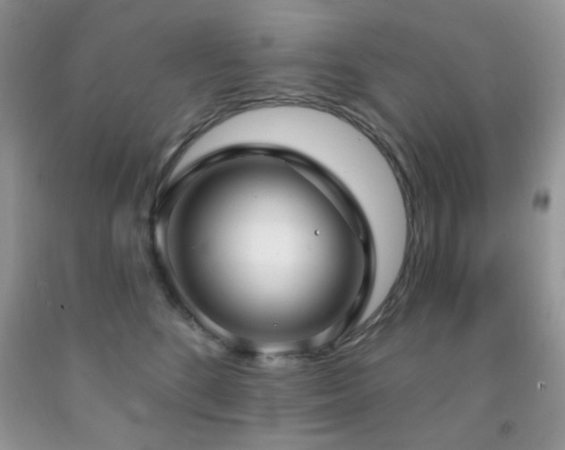 X0000091970520200709061334