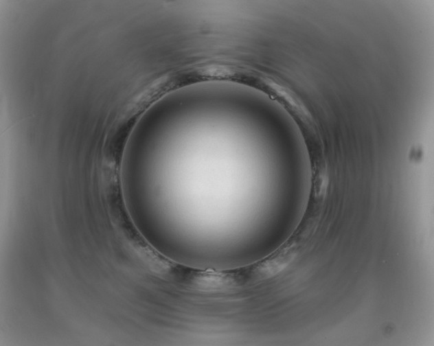 X0000091970521200709061334