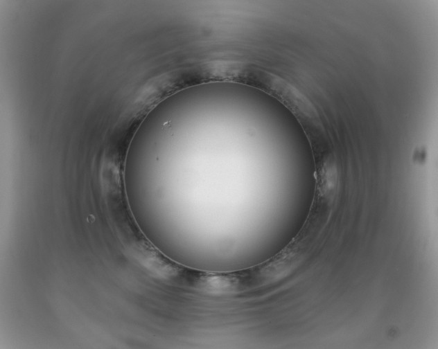 X0000091970522200709061334