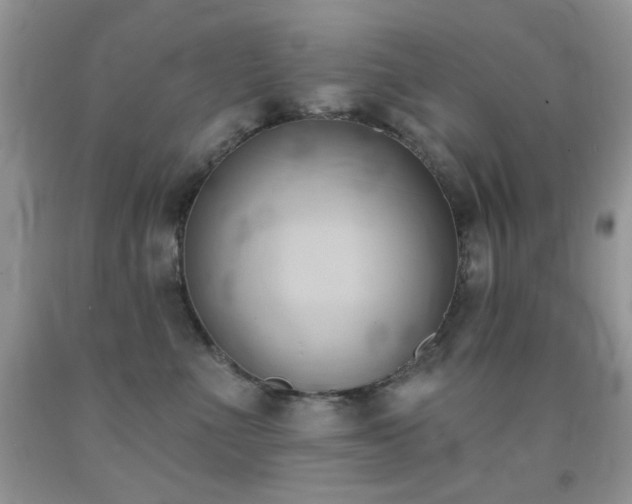 X0000091970523200709061334
