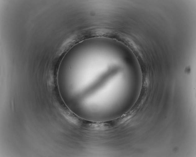 X0000091970524200709061334