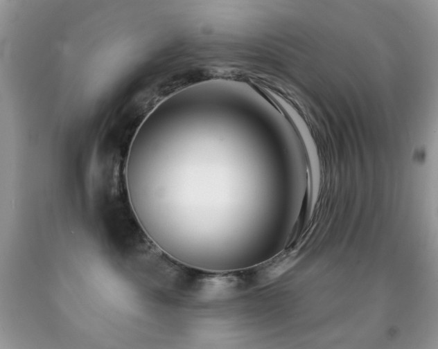 X0000091970525200709061334