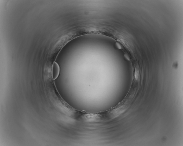 X0000091970526200709061334