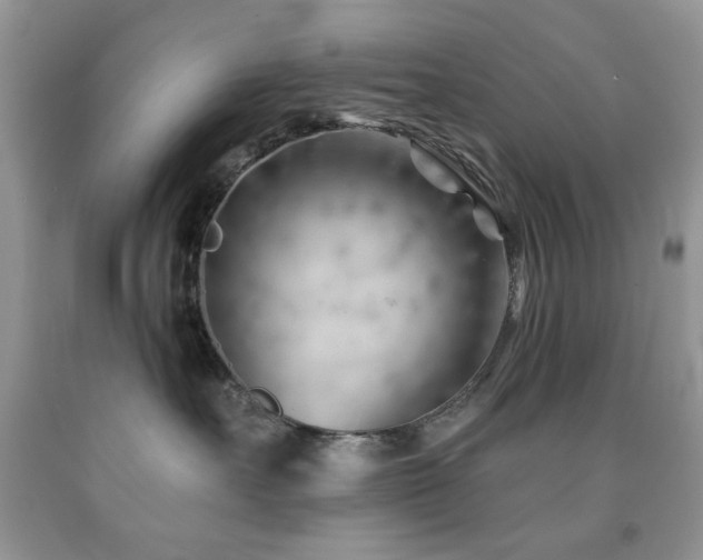 X0000091970527200709061334