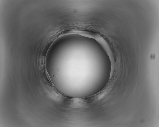 X0000091970528200709061334