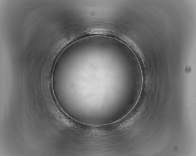 X0000091970529200709061334