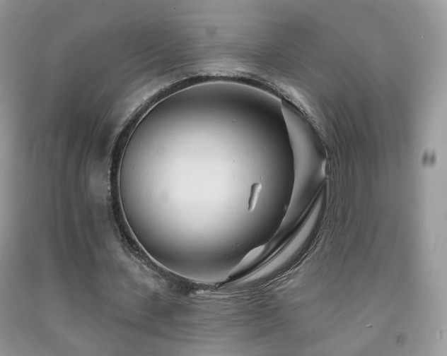 X0000091970531200709061334