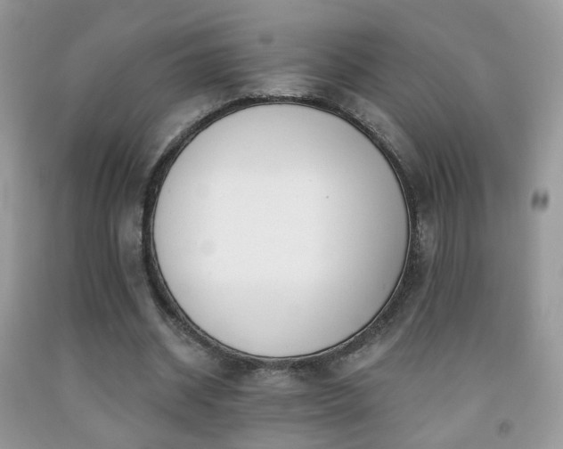 X0000091970534200709061334