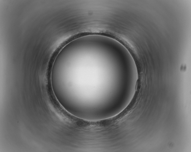 X0000091970536200709061334