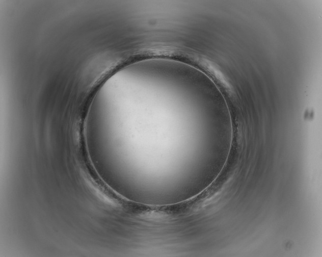 X0000091970537200709061334