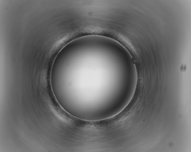 X0000091970538200709061334