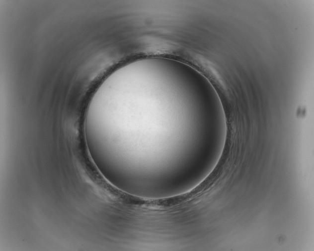 X0000091970539200709061334