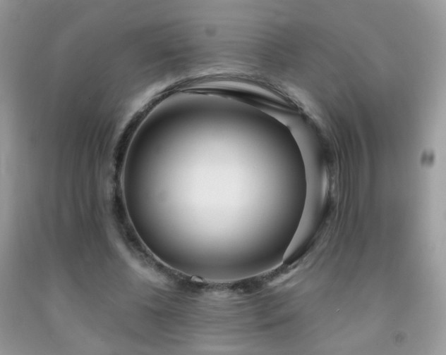 X0000091970540200709061334