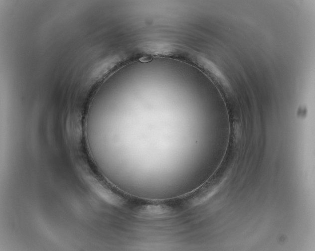 X0000091970541200709061334