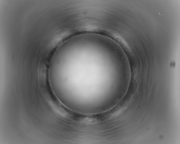 X0000091970542200709061334