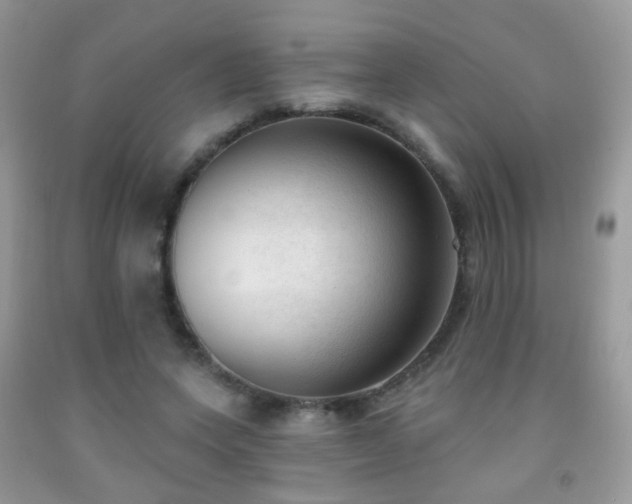 X0000091970543200709061334