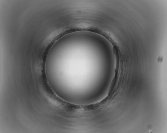X0000091970544200709061334