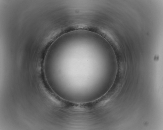 X0000091970545200709061334