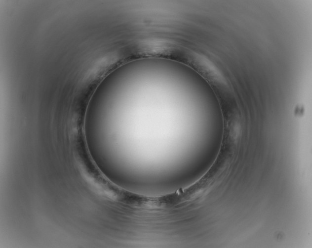 X0000091970546200709061334
