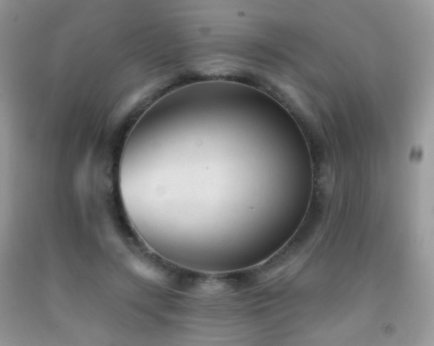 X0000091970547200709061334