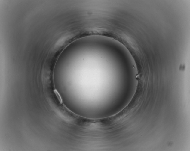 X0000091970548200709061334