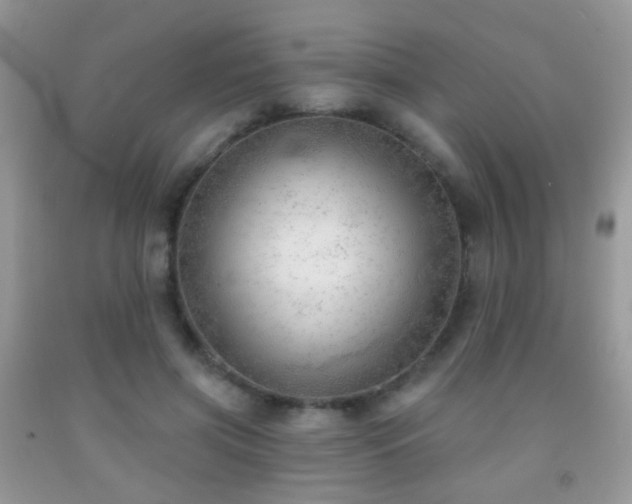 X0000091970549200709061334