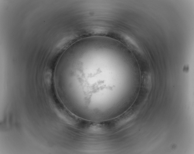 X0000091970550200709061334