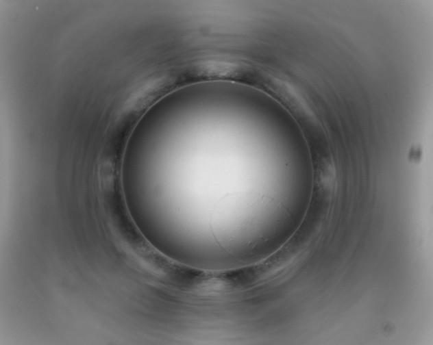 X0000091970551200709061334