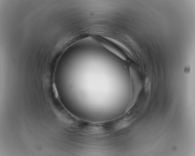 X0000091970552200709061334