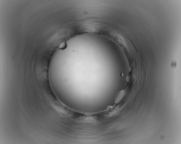 X0000091970553200709061334