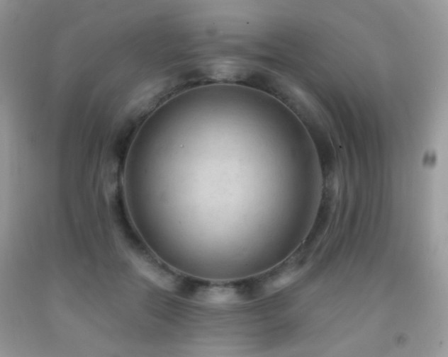 X0000091970554200709061334