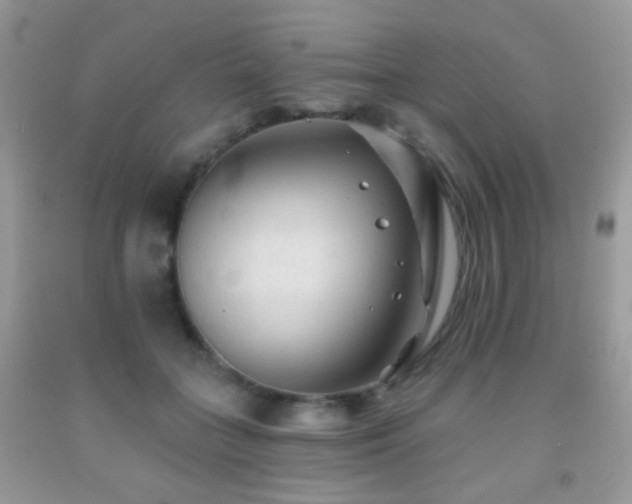 X0000091970555200709061334