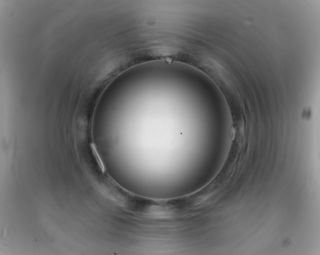 X0000091970556200709061334