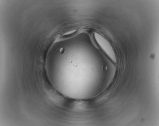 X0000091970557200709061334