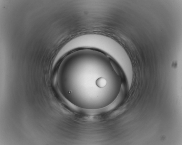 X0000091970558200709061334