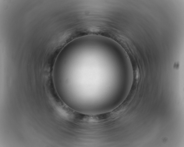 X0000091970559200709061334