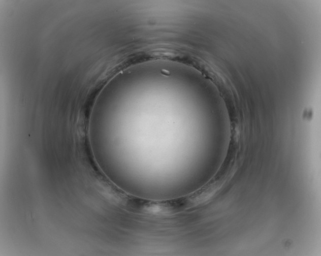 X0000091970561200709061334