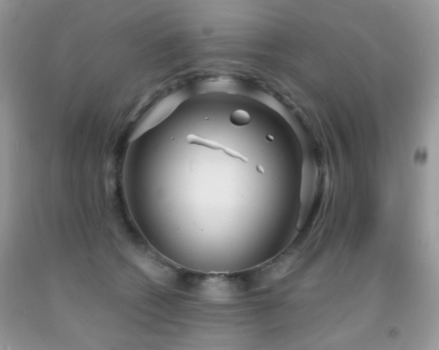 X0000091970562200709061334