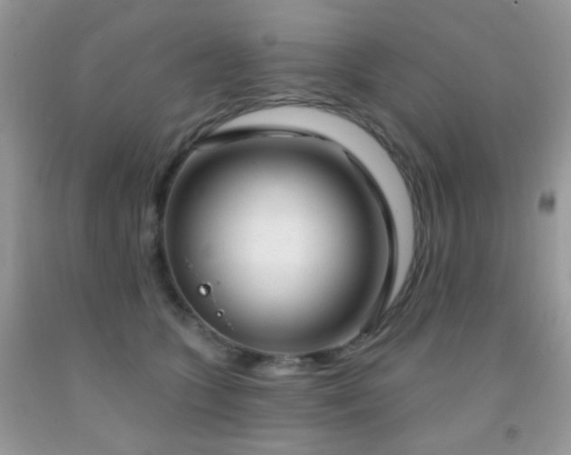 X0000091970563200709061334
