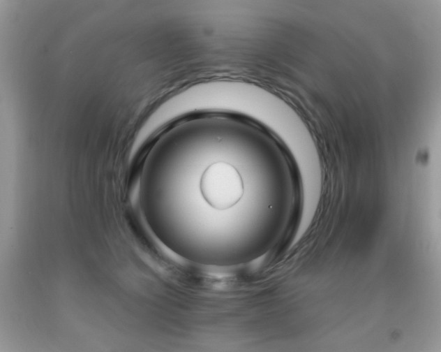 X0000091970564200709061334