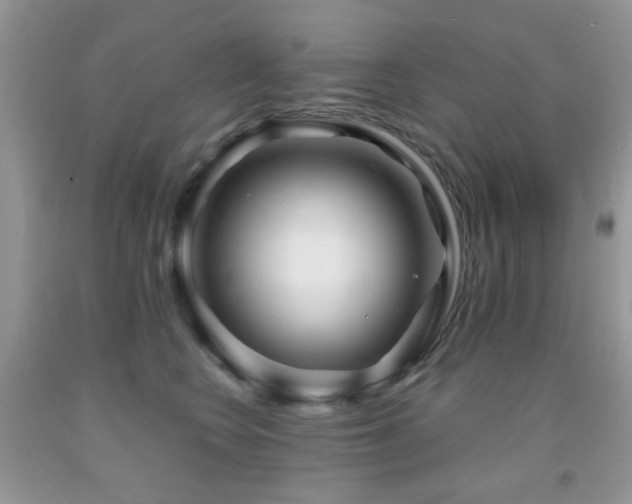 X0000091970566200709061334