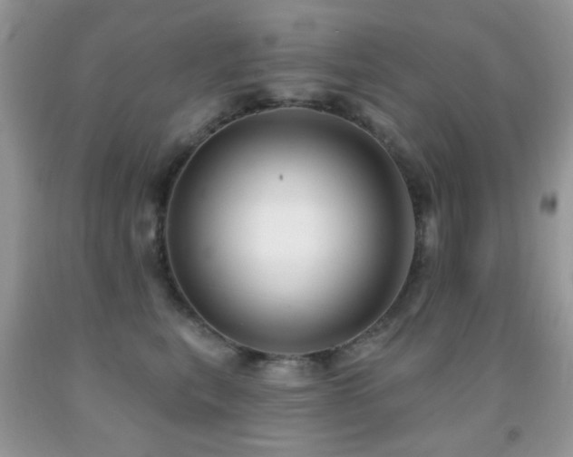 X0000091970567200709061334