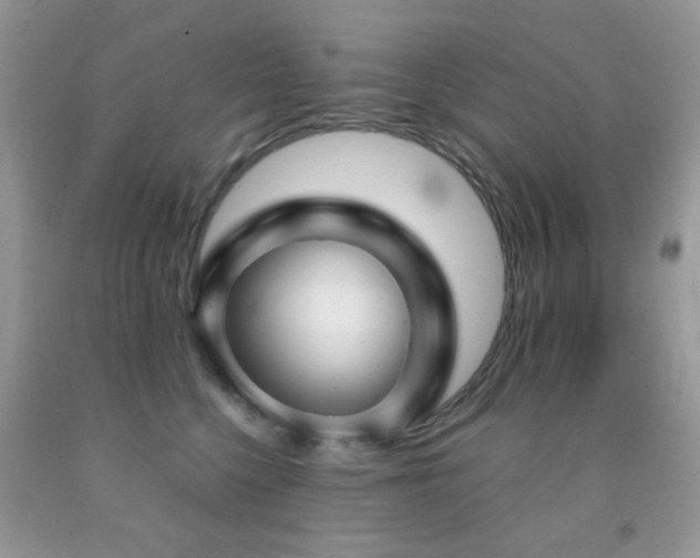 X0000091970568200709061334